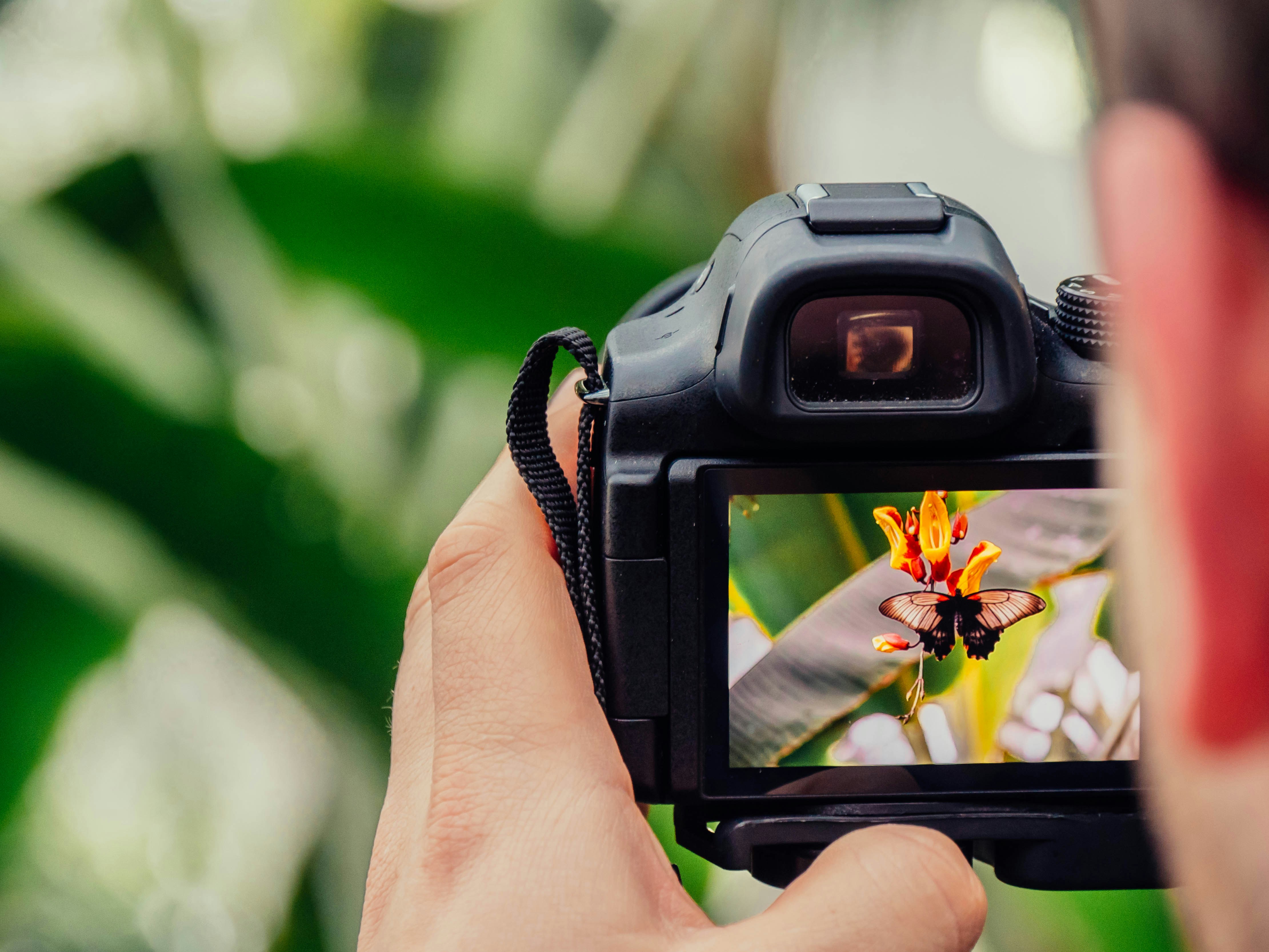 Participant landscape photograph showing improved compositional balance and depth